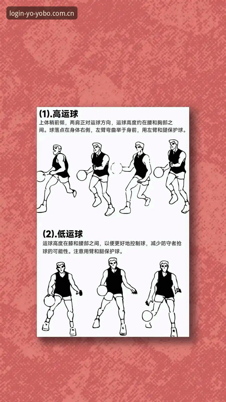 YOBO体育客户端使用技巧完整指南：从入门到精通的实战宝典